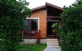 Villa Bilge
