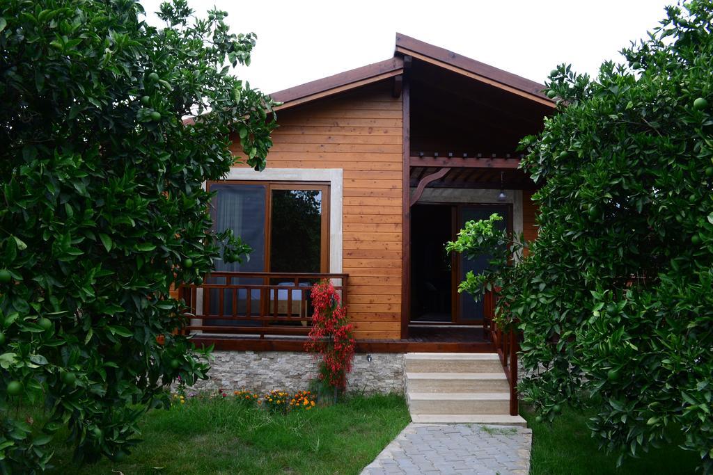 Villa Bilge Çıralı Oda fotoğraf