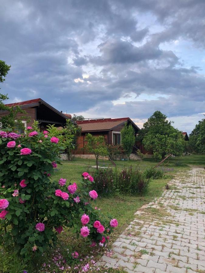 Villa Bilge Çıralı Dış mekan fotoğraf