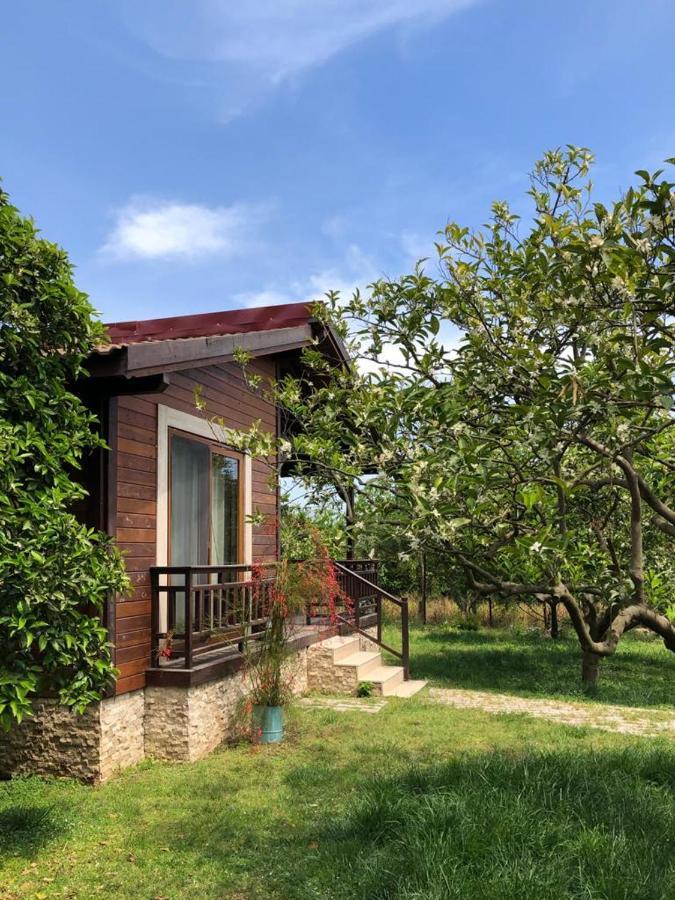 Villa Bilge Çıralı Dış mekan fotoğraf