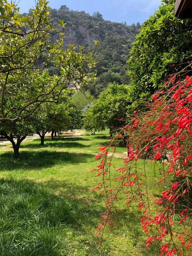 Villa Bilge Çıralı Dış mekan fotoğraf